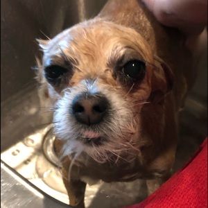 Meet your Posher, Ken